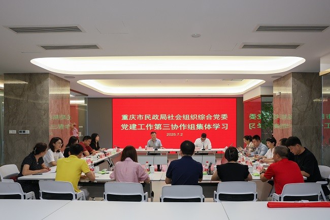 重庆市民政局社会组织综合党委党建工作第三协作组组织集体学习